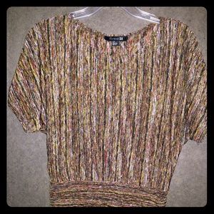 Shirt sleeved dressy top